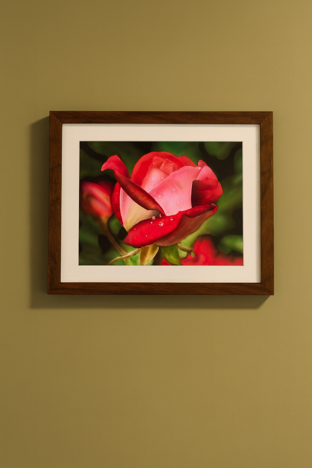 Ron Risley Art - "Rose after the Rain" Print and Frame | B-MABID