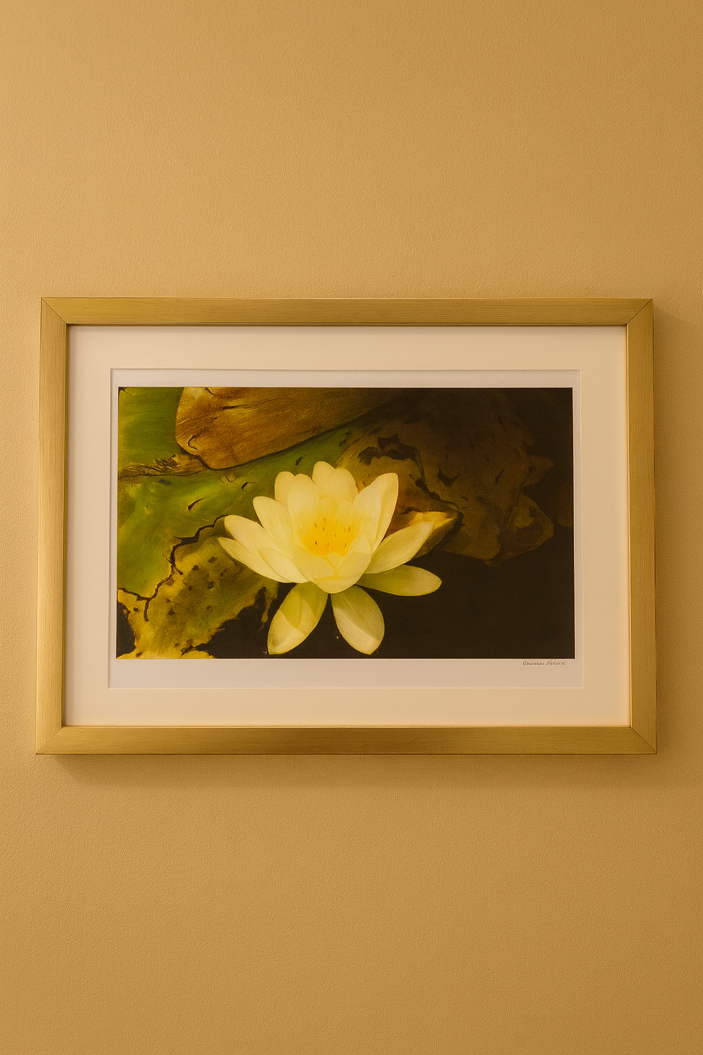 Ron Risley Art - "Lilly Pad" Print with Frame | B-MABID