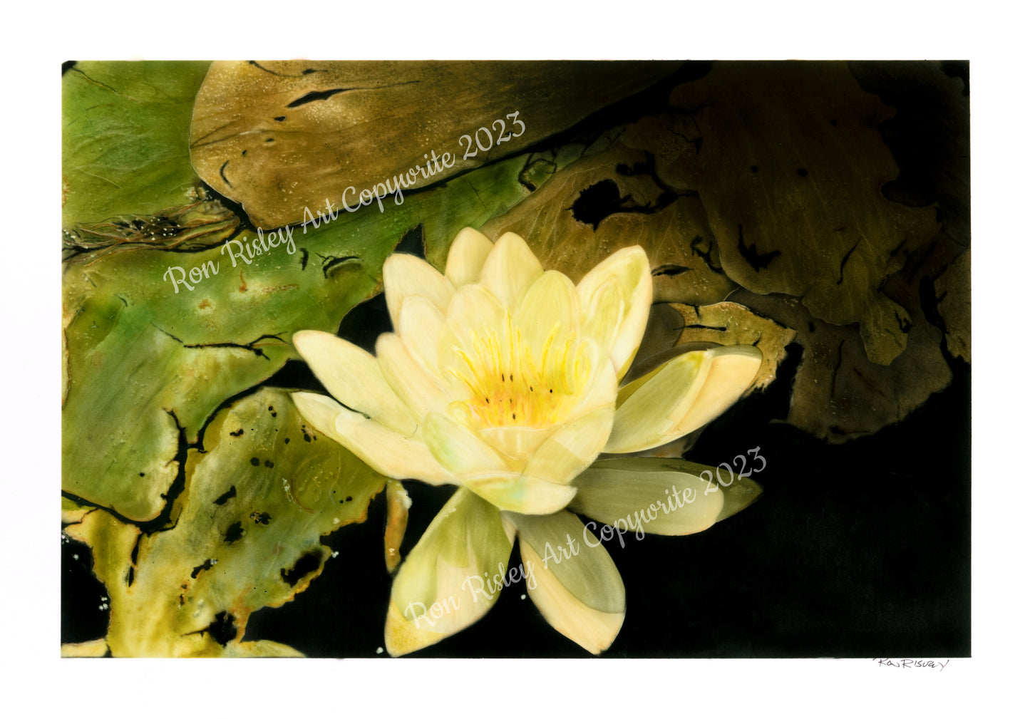 LillyPad Custom Painting