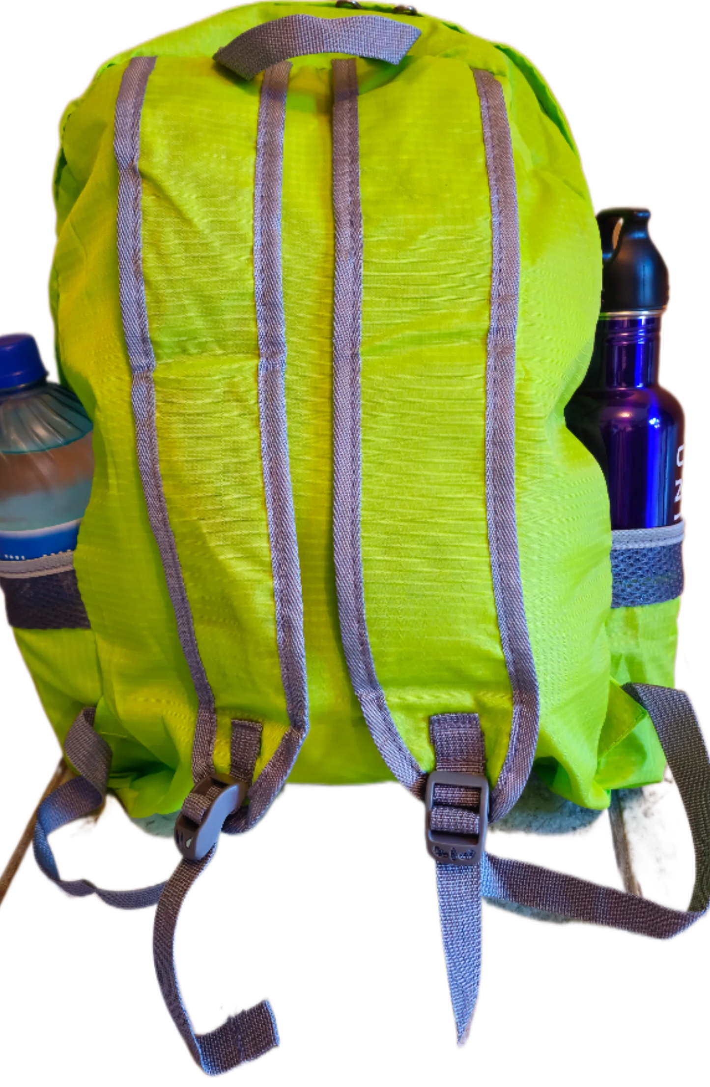 Forget Me Not -  - Light Green Day Pack with " Leave No Footprints" Patch | Ron Risley Art